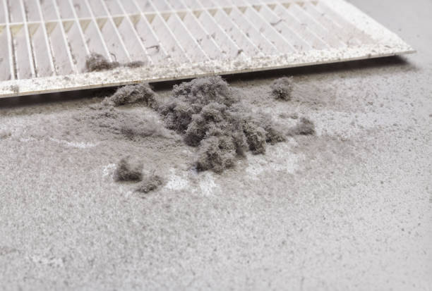 Best Best Air Duct Cleaning Company  in Garrison, TX