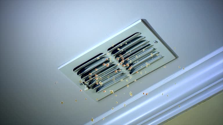 Best Affordable Duct Cleaning Services  in Garrison, TX